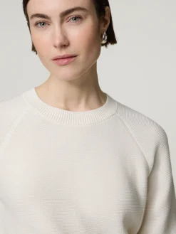 Pullover aus Baumwolle FOVILA