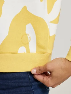 Sweatshirt aus Baumwolle BO